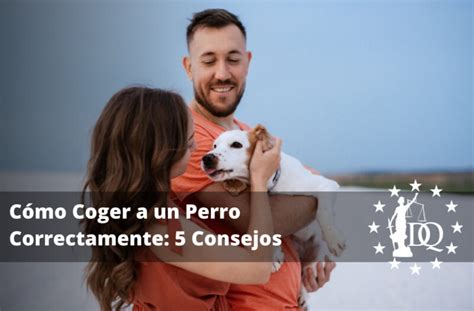 una buena cojida|“De 'perrito', no hagan ruido y terminen rápido”: Cómo coger en .